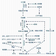 植物细胞融合依据的生物学原理是什么
