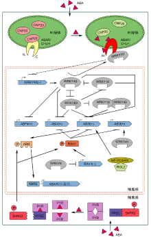 休眠的原理_(二)为什么学习等待队列 在讲解等待队列的作用之前先来看一下内核的休眠机制(2)