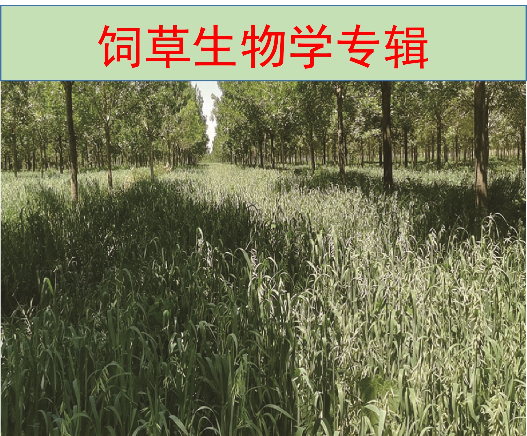 图片丢失啦
